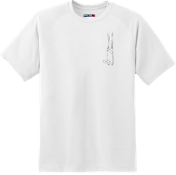 Футболка Nike Sport-2